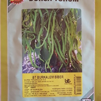 BT Burkalem Biber Tohumu