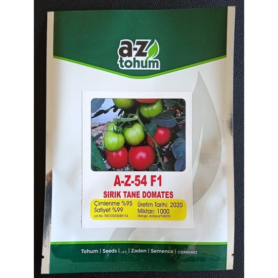 AZ 54 F1 Sırık Tane Domates Tohumu