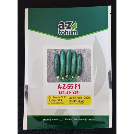 AZ 55 F1 Oturak Tarla Hıyar Tohumu