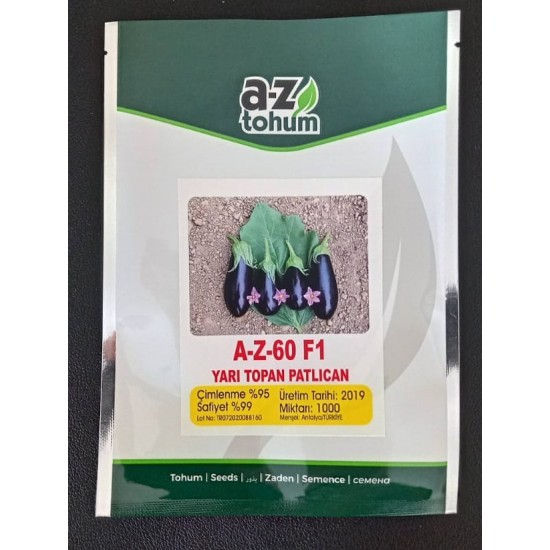 AZ 60 F1 Yarı Topan Patlıcan Tohumu