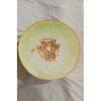 A-Z-87 F1 Ananas Galya Kavun Tohumu