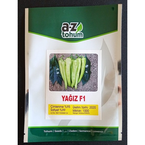 Yağız F1 Çarliston Biber Tohumu