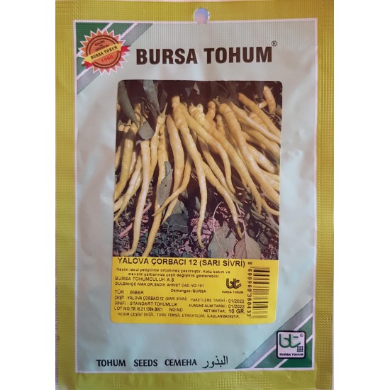 Yalova Çorbacı Sarı Sivri Biber Tohumu