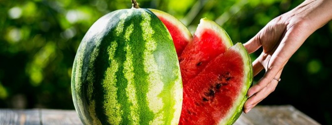 Karpuz Yetiştiriciliği