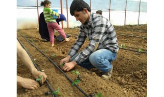 Fideler Damlamanın Neresinde Olması Lazım (Video)