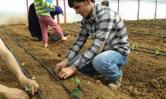 Fideler Damlamanın Neresinde Olması Lazım (Video)