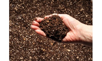 Kompost Nedir (Mantar Üretimi)