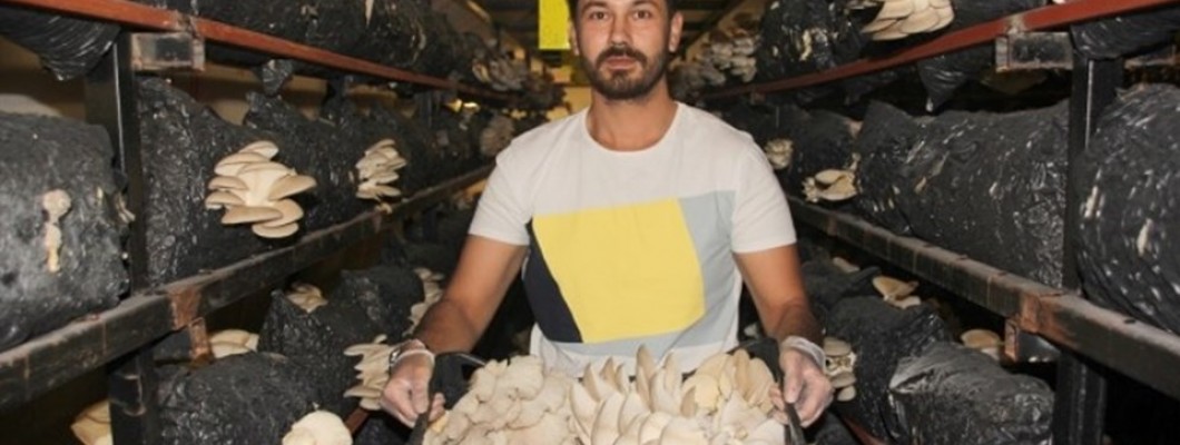 Genç girişimci kurduğu tesiste yılda 20 ton mantar üretiyor
