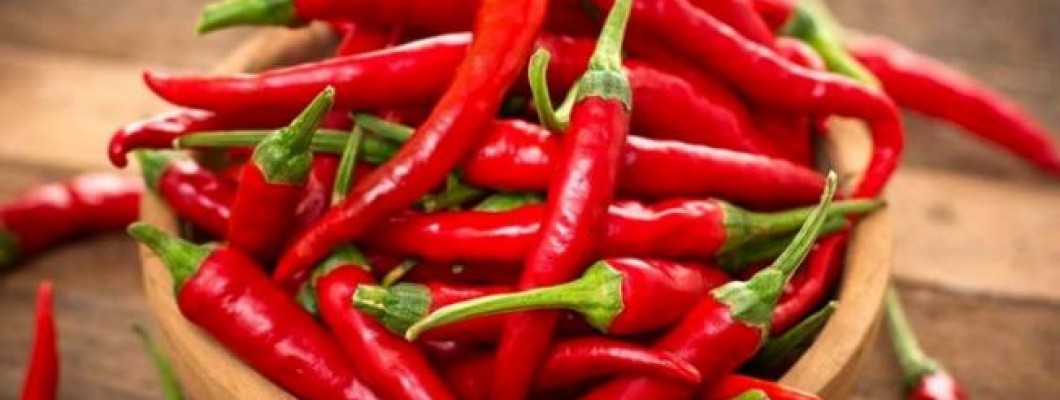 Biber Üretimi Nasıl Olur