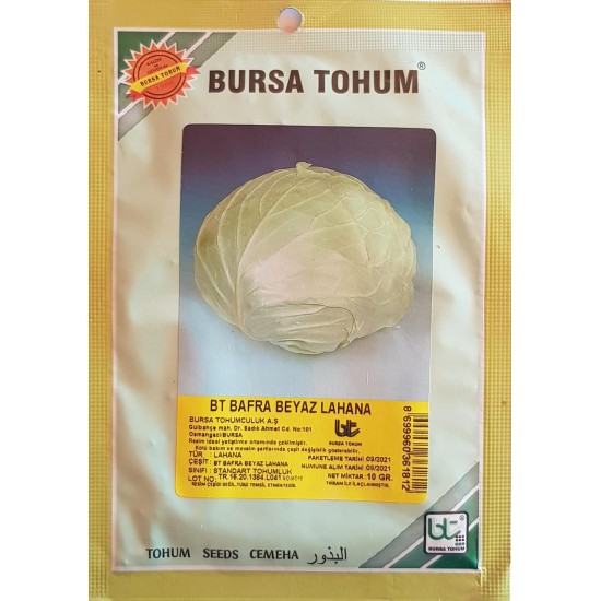 BT Bafra Beyaz Lahana Tohumu