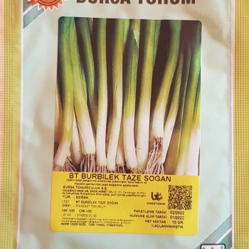BT Burbilek Taze Sogan Tohumu