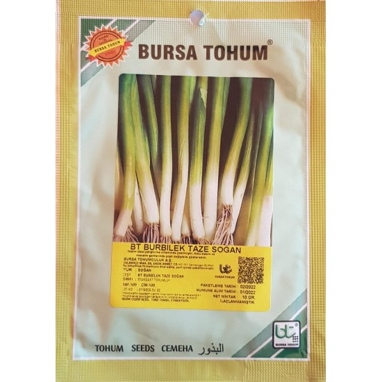 BT Burbilek Taze Sogan Tohumu