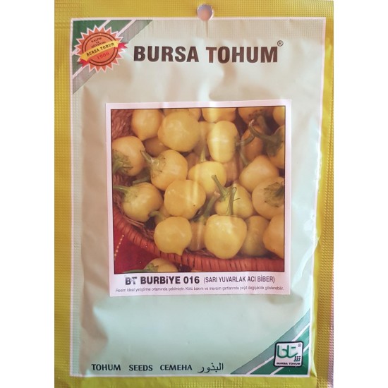BT Burbiye Sarı Yuvarlak Standart Biber Tohumu
