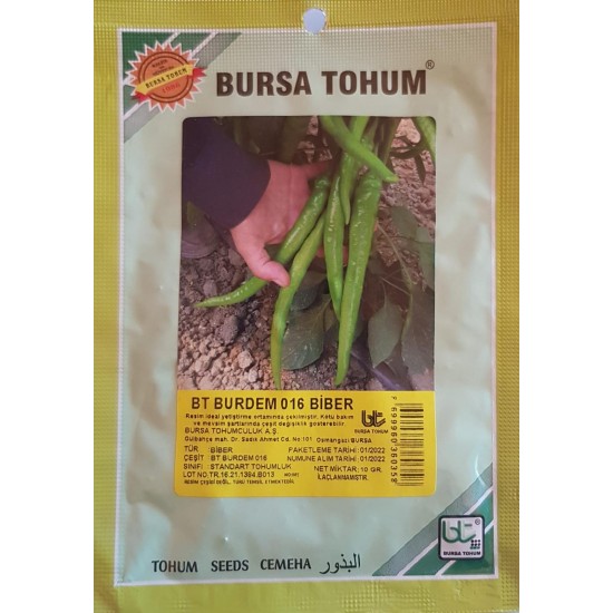 BT Burdem 016 Biber Tohumu