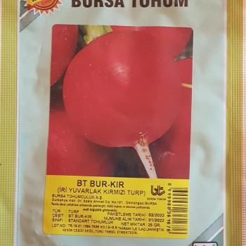 BT Bur_Kır Kırmızı Turp
