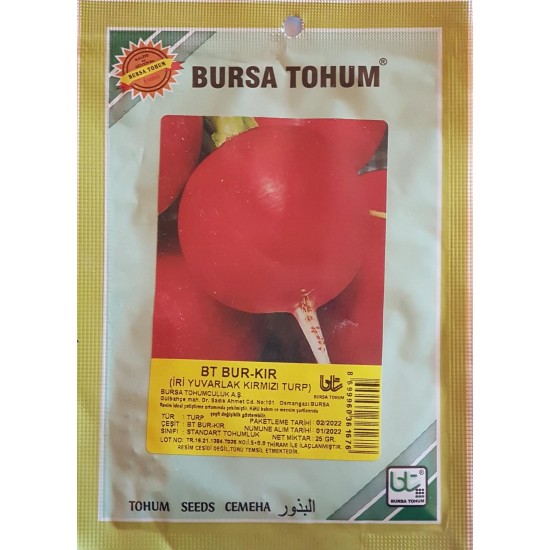 BT Bur_Kır Kırmızı Turp