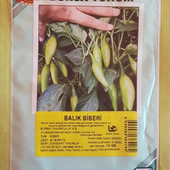 BT Burkita Standart Biber Tohumu