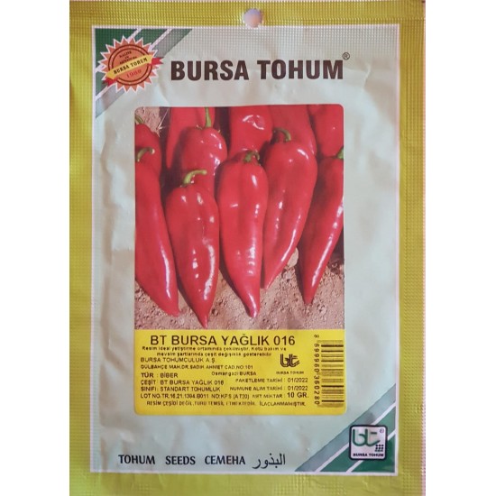BT Bursa Yaglık 016 Standart Biber Tohumu