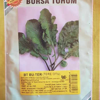 BT Bu_Ter Standart Tere Tohumu