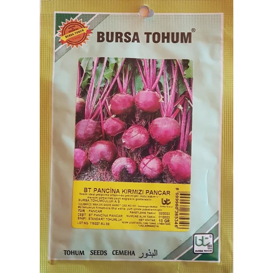 BT Pancina Kırmızı Pancar Tohumu