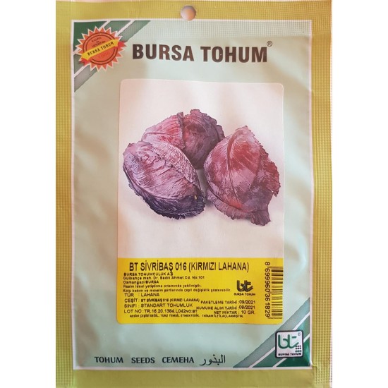 BT Sivribas 016 Standart Kırmızı Lahana Tohumu