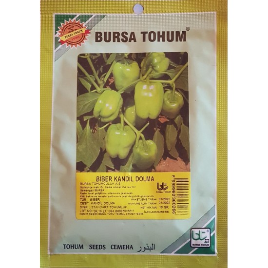 Kandil Dolma Standart Biber Tohumu