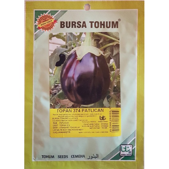 Topan 374 Patlıcan Tohumu