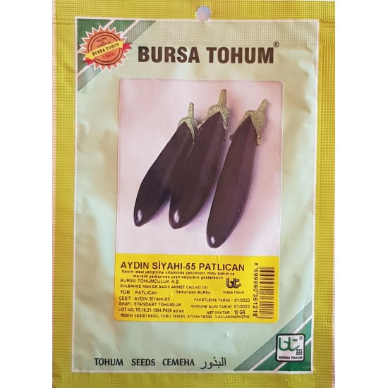 Aydın Siyahı 55 Patlıcan Tohumu