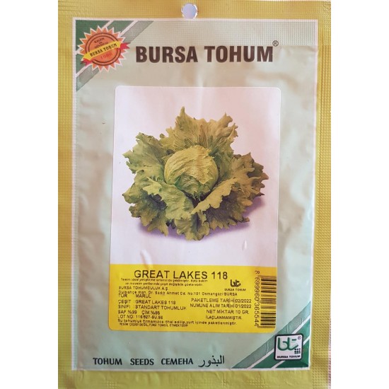 Great Lakes İceberg Standart Marul Tohumu