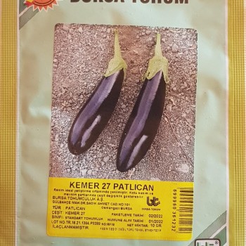 Kemer 27 Patlıcan Tohumu