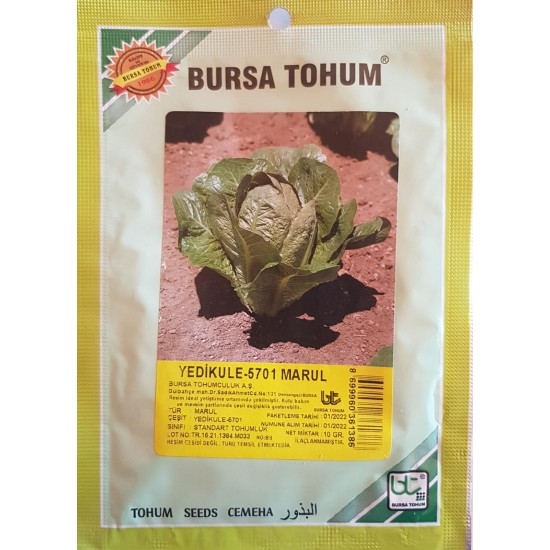 Yedikule 5701 Standart Düz Marul Tohumu