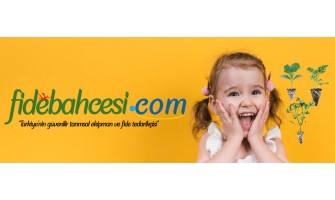 Aşılı Fide Nedir, Nasıl Üretilir