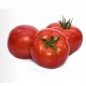 Cuma F1 Oturak Domates Fidesi