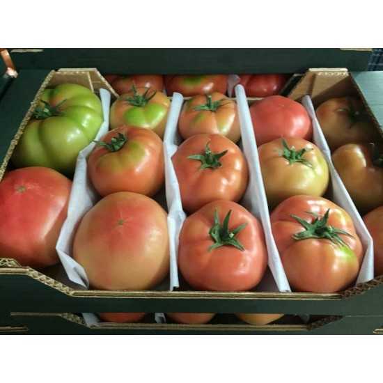 Papel F1 Pembe Domates Fidesi