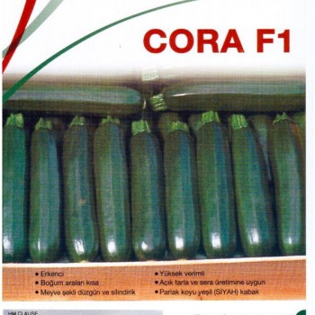 Cora F1 Kabak Fidesi