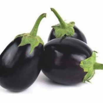 A-Z 62 F1 Topan Patlıcan Fidesi