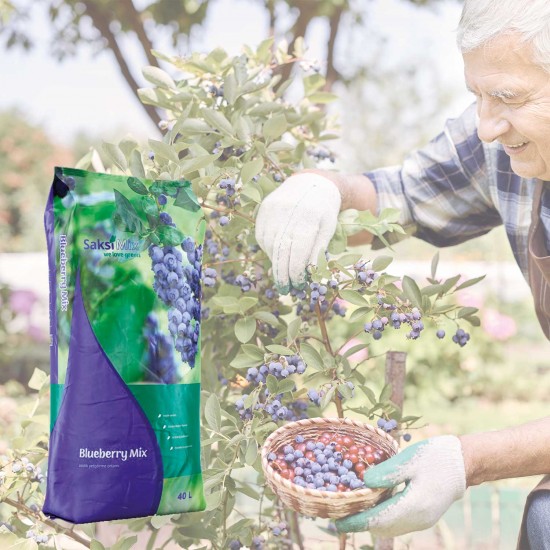 Saksi Mix Blueberry Mix 40 L