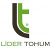 Lider Tohum