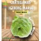 CARTAGENAS RZ (45-82) – Iceberg Marul Fidesi