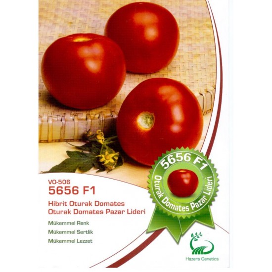 5656 F1 Oturak Domates Fidesi 