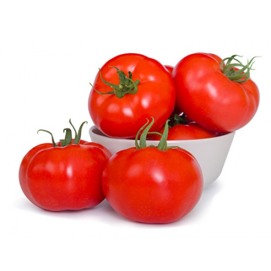 Alberty F1 Domates Fidesi