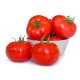 Alberty F1 Domates Fidesi