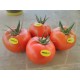 Aşılı Ancha F1 Domates Fidesi