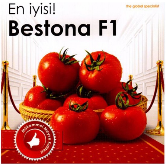 Bestona F1 Sırık  Domates Fidesi 