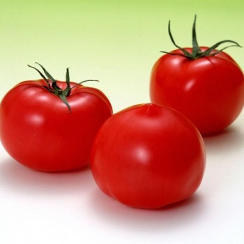 Egemen F1 Oturak Domates Fidesi