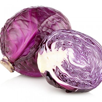 Kırmızı Lahana Fidesi