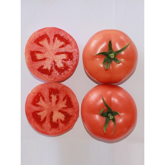 Pink Star F1 Pembe Domates Fidesi