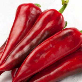 Serenad F1 Kapya Biber Fidesi