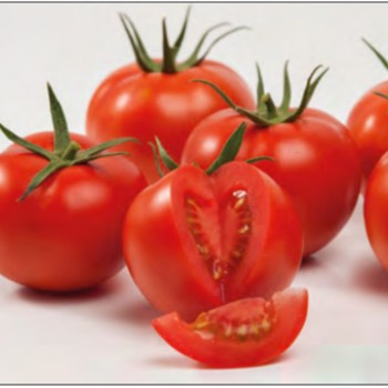Seyran F1 Domates Fidesi