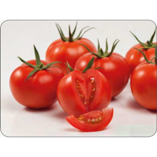 Aşılı Seyran F1 Domates Fidesi